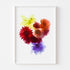 Multi-coloured Blooms Art Print Set